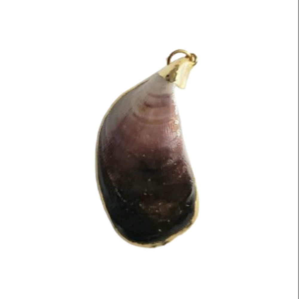 Seashell Pendant with Gold Edging. No Chain